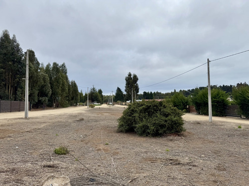 Sitio En Quirilluca 1321 M2 No Perimetral