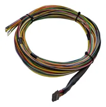 Comprar Cableado Instalacion Fueltech Fueltech Ft250 Ft300 Ft350 Egs
