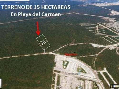 Terreno De 15 Hectáreas En Venta Uso Suelo Habitacional,  En  Playa Del Carmen, Q. Roo.