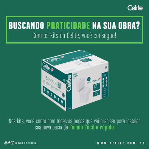 Conjunto Bacia Com Caixa Acoplada Slim Celite Wt