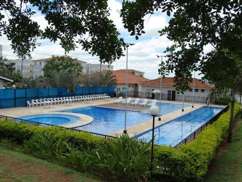 Apartamento À Venda Na Rua São Cosme, Jardim Santa Terezinha (nova Veneza), Sumaré - Sp - Liv-12073