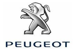 Repuesto Peugeot Motores Nafta