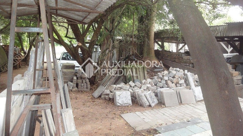 Imagem 5 de 11 de Terreno - Protasio Alves - Ref: 237184 - V-237184