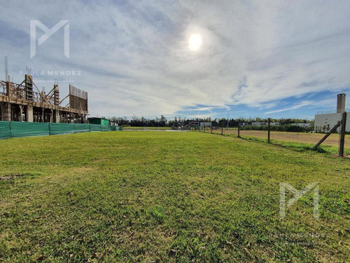 Imagen 7 de 9 de Terreno - Lote Al Rio - Venta - 1200mts - San Juan - Villanueva -tigre