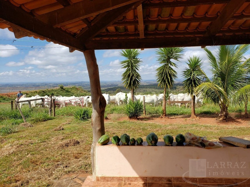 Imagem 3 de 5 de Ótima Fazenda Para Venda Na Regiao De Patos De Minas / Pres. Olegario-mg, Com 1.674 Hectares, Café, Pasto, Eucalipto, Casa Sede E Benfeitorias - Fa00277 - 69562047