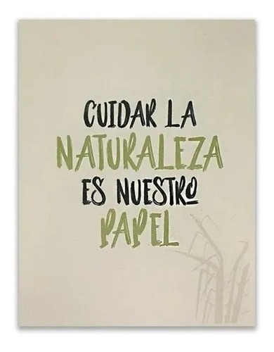 Imagen 6 de 9 de 10 Resmas A4 Ledesma Nat 75grs Papel Natural Eco 250 Hojas