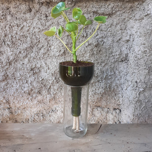 Cuchara Little Plant 24 Sin Soporte, Maceta Autorregante