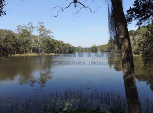 Imagem 1 de 15 de Chacara - Campo Largo Da Roseira - Ref: 791 - V-791