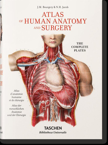 Libro: Bourgery. Atlas De Anatomía Humana Y Cirugía. Le Mino