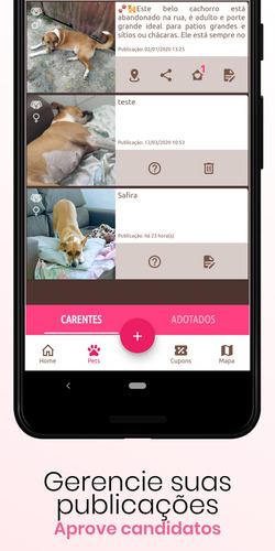 Imagem 10 de 10 de Sistema Adoção Pets Mais Baixado Do Brasil, 50mil Downloads