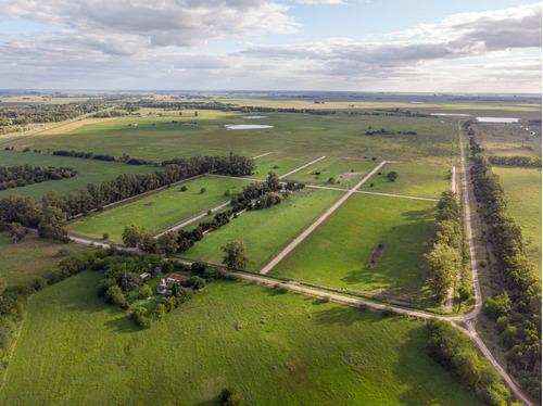 Imagen 3 de 9 de Terreno En Venta De 2800m2 Ubicado En Cañuelas