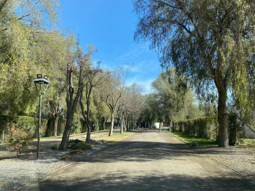 Parcela En Arriendo En Colina