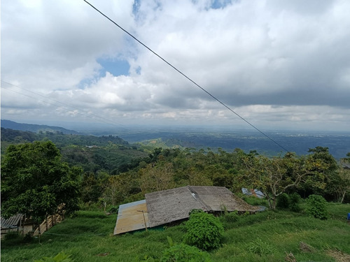 Se Vende Finca En Calarcá - Quindío