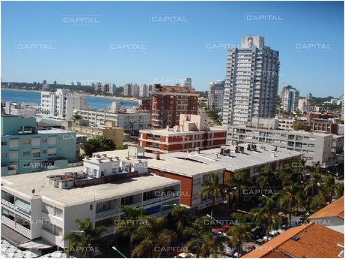 Apartamento En Peninsula, 2 Dormitorios *-ref:24846