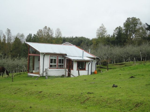 Agrícola En Venta En Paillaco