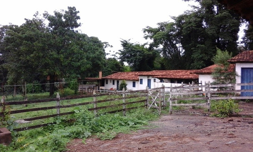 Terreno / Área Com 3 Quartos Para Comprar No Zona Rural Em Jaboticatubas/mg - 2806