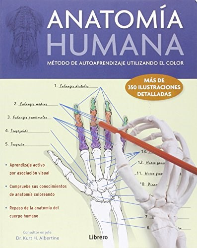 Anatomia Humana - Albertine Kurt