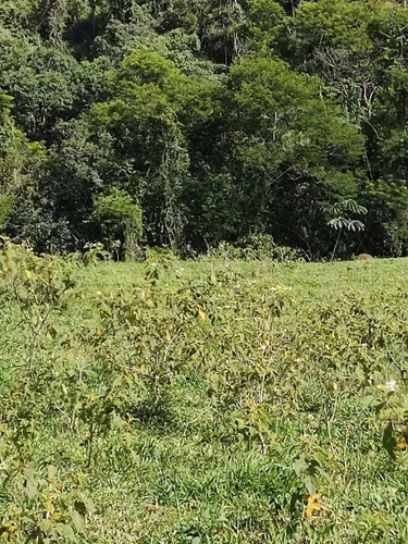 Terreno Para Chácara Em Igaratá