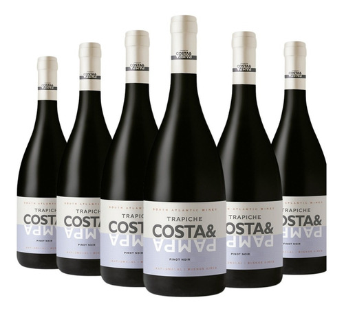 Imagen 1 de 10 de Vino Trapiche Costa & Pampa Pinot Noir Caja X 6 --