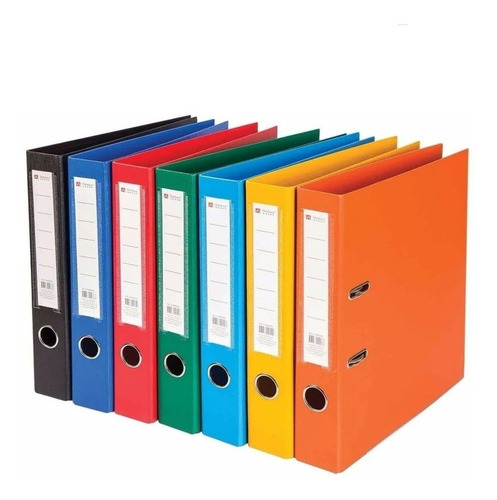 Pack X10 Bibliorato Color A4 Lomo Ancho Para Archivos