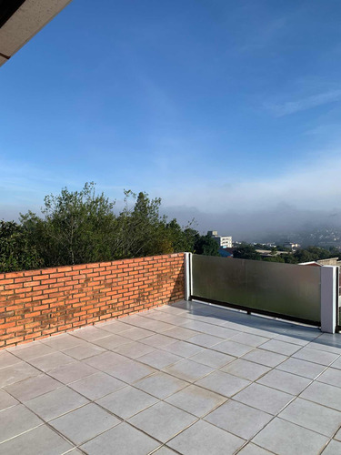 Sobrado Zona Sul Com 2 Apartamentos, Terraço, Lareira,pomar