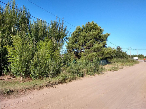 Imagen 4 de 4 de Lote Industrial Ostende #