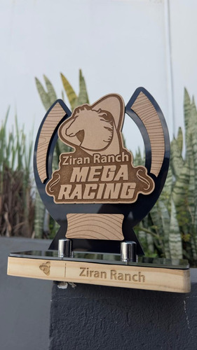 Estrela Comunicação Visual Excelência Em Troféus, Medalhas