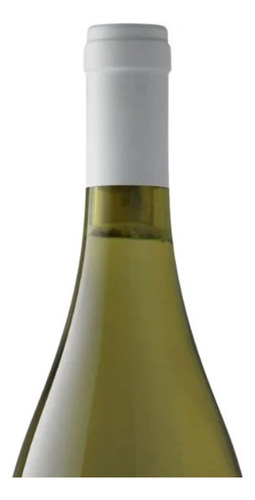 Pack De 4 Vino Blanco Monte Xanic Chenin Colombard 750 Ml