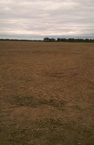 Imagen 2 de 3 de Campo Gral Madariaga