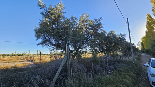 Gran Terreno O Lote De 2 Has En San Rafael Ideal Emprendimie