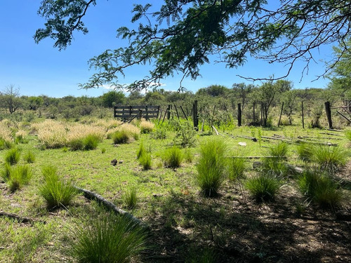 Venta Campo Villa Quillinzo (40 Hectareas) Ideal Para Loteo