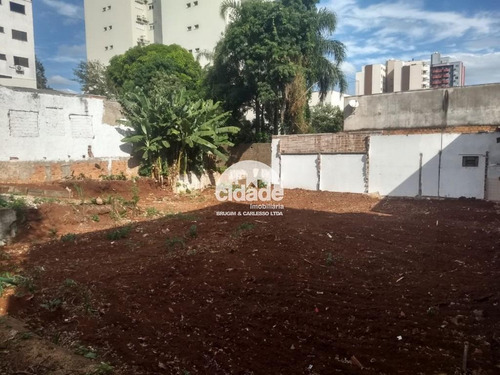 Imagem 3 de 6 de Terreno À Venda, Centro - Cascavel/pr - 11589