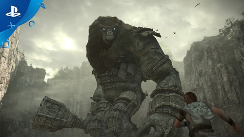 Shadow Of The Colossus Remake Standard Edition Ps4 Físico (Usado)