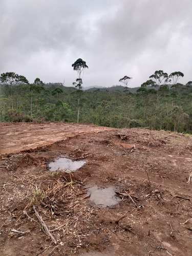 Imagem 22 de 27 de 01- Condomínio Fechado Na Região De Mogi Das Cruzes Com Documentação !
