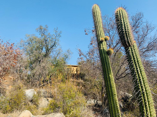 Venta De Parcela En Oasis De La Campana