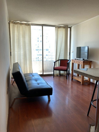 Departamento 1 Dormitorio En Suite Con Gran Terraza