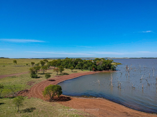 Imagen 5 de 26 de Terreno En Venta En Ituzaingó