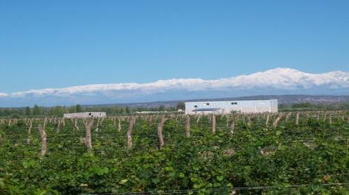 Bodega Y Finca En Venta
