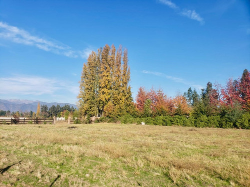 Terreno En Condominio / San Fernando / Viña Casa Silva