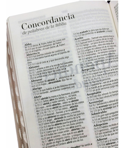 Imagen 6 de 9 de Biblia Juvenil Compacta Letra Grande 11 Pt Morado Duotono