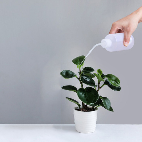 500ml Bottle Diffuser Green Soap Wash Supply Plastic