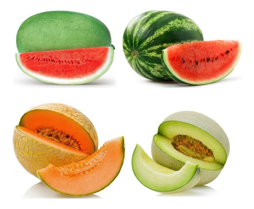 Combo 2 Melones Y 2 Sandias - 50 Semillas Premium