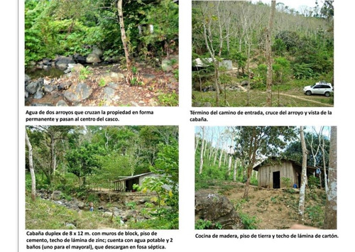 Rancho De 67 Hectáreas Ubicado En San Andrés Tuxtla