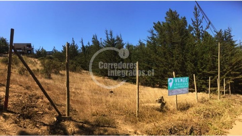 Imagen 4 de 6 de Sitio En Venta En Pichilemu
