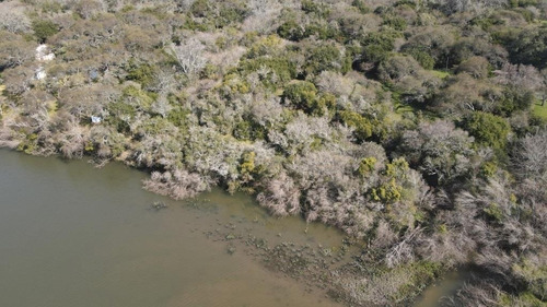 Imagen 3 de 6 de Lote De 21 Hectáreas Con 300 Metros De Costa Al Arroyo Gualeyán, Gualeguaychú.