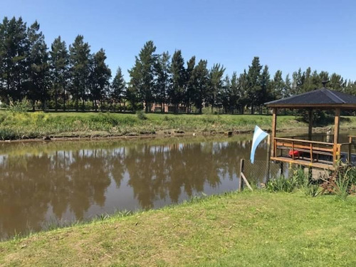 Imagen 4 de 17 de Casas En Venta En San Benito - Maroto Propiedades