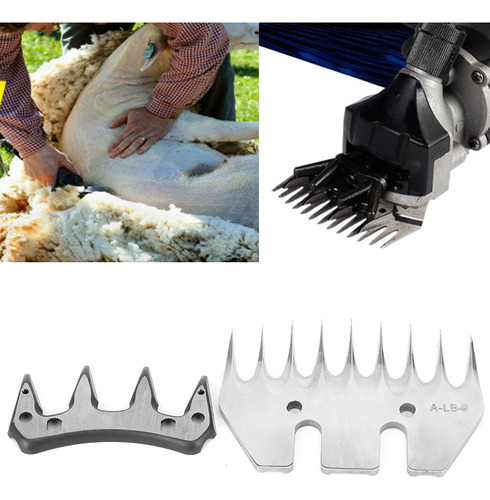 Cuchilla Para Cortar Ovejas De Acero Inoxidable De Alta Dure