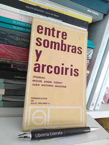 Entre Sombras Y Arcoiris Miguel Angel Godoy Juan Antonio Mas