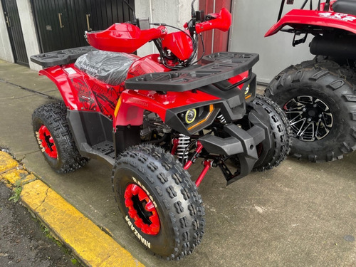Imagen 3 de 5 de Cuatrimoto 125cc