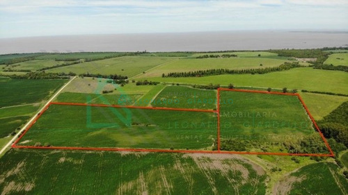 Imagen 6 de 13 de Martin Chico, Colonia - Campo Agricola Con Vista Al Rio De La Plata